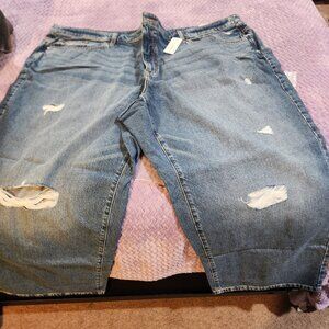 NTW Lane Bryant Jeans 28S